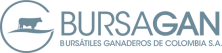 Bursagan S.A.